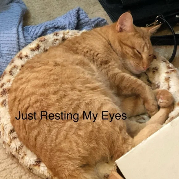 Vera Bradley Yellow HOPE Pink Ribbons Lined Cosmetic Makeup Bag 9"x5"x3" - FP - Picture 8 of 9